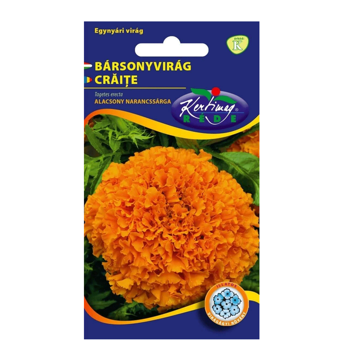 Seminte flori Craite Pitice (Tagetes erecta) portocalii 1 g