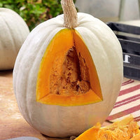 Thumbnail for Seminte Dovleac de copt Kiszombori 4g