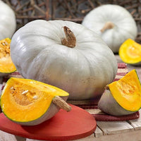 Thumbnail for Seminte Dovleac de copt Nagydobosi 3g