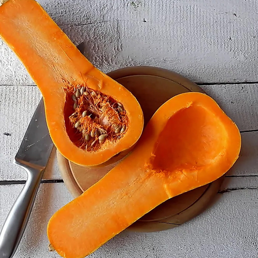 Seminte Dovleac de copt Orange 1g