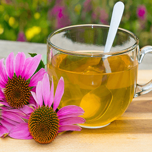 Seminte Echinacea 0.5g