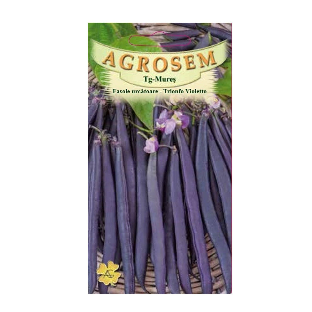 Seminte Fasole Trionfo Violetto 8g