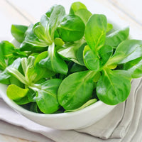 Thumbnail for Seminte Fetica de gradina 2g