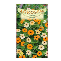 Thumbnail for Seminte flori Thunbergia (Thunbergia alata) mix 0.5g