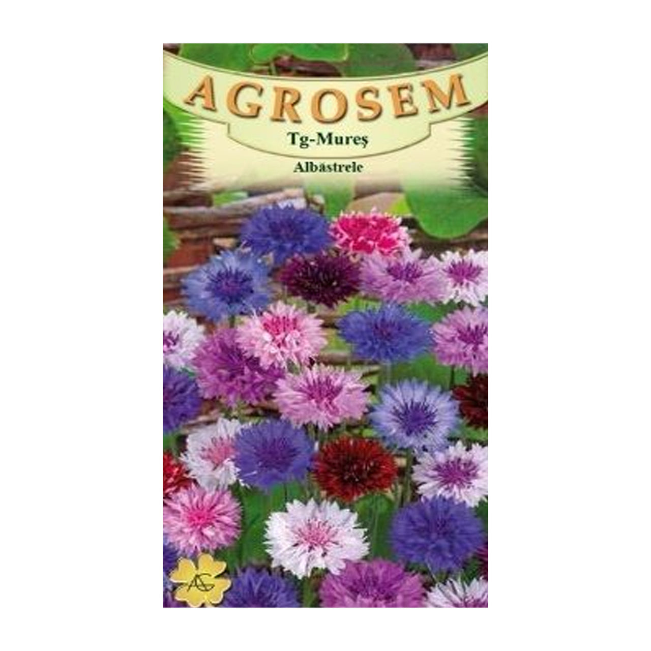 Seminte flori Albastrele (Centaurea cyanus) mix 0.7g