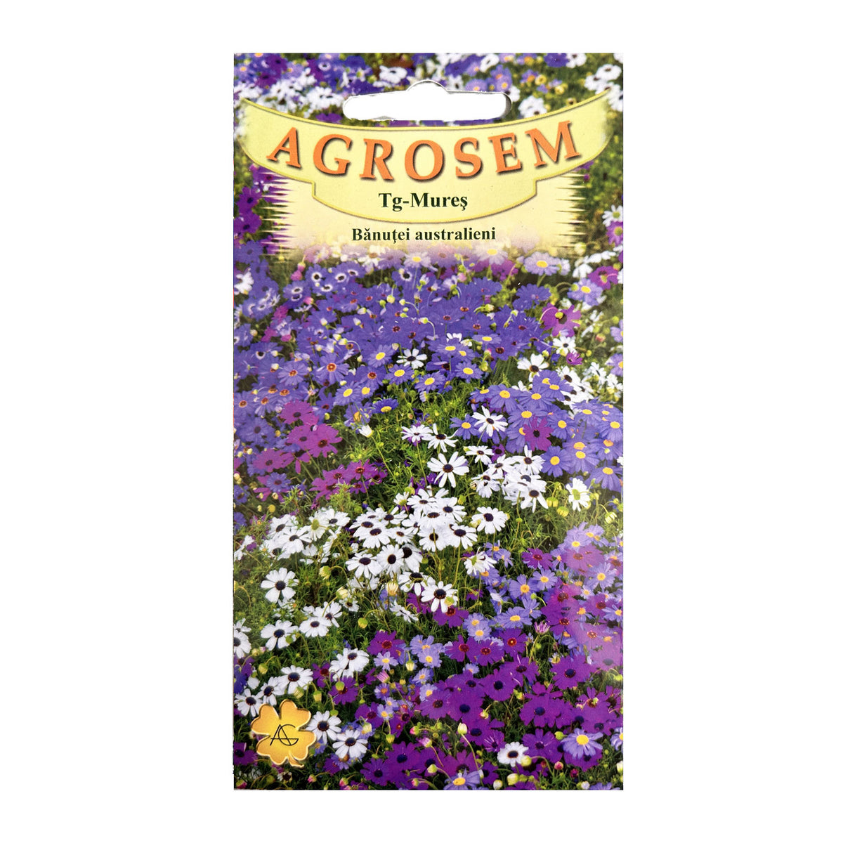 Seminte flori Banutei australieni (Brachycome iberidifolia) mix 0.1g