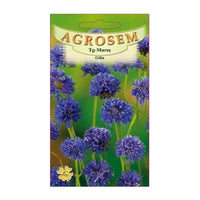 Thumbnail for Seminte flori Gilia (Gilia capitata) violet 0.5g