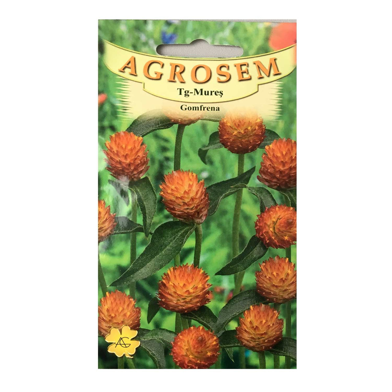 Seminte flori Gomfrena (Gomphrena globosa) portocalie 0.15g