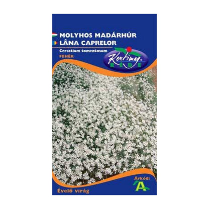 Seminte flori Lana Caprelor (Cerastium tomentosum) alba 0.25g