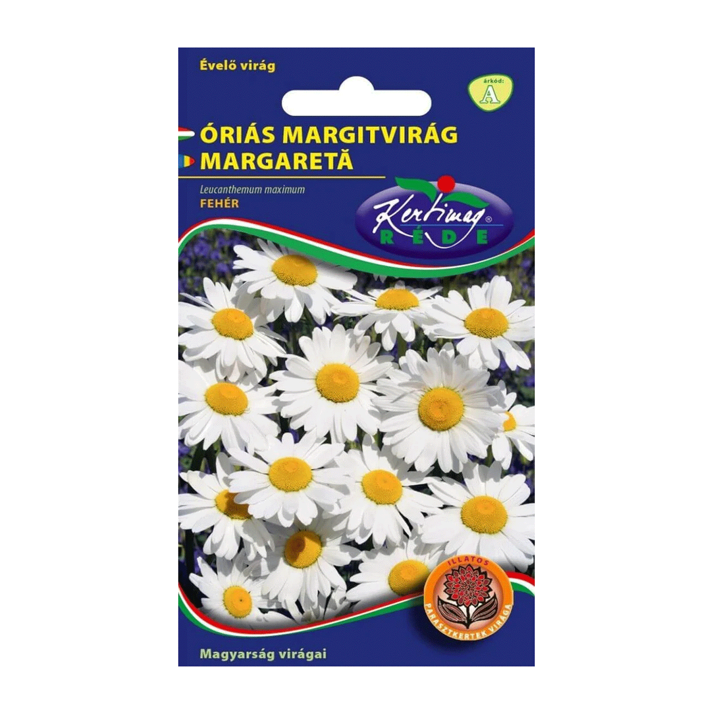 Seminte flori Margarete (Leucanthemum maximum) albe 0.25g