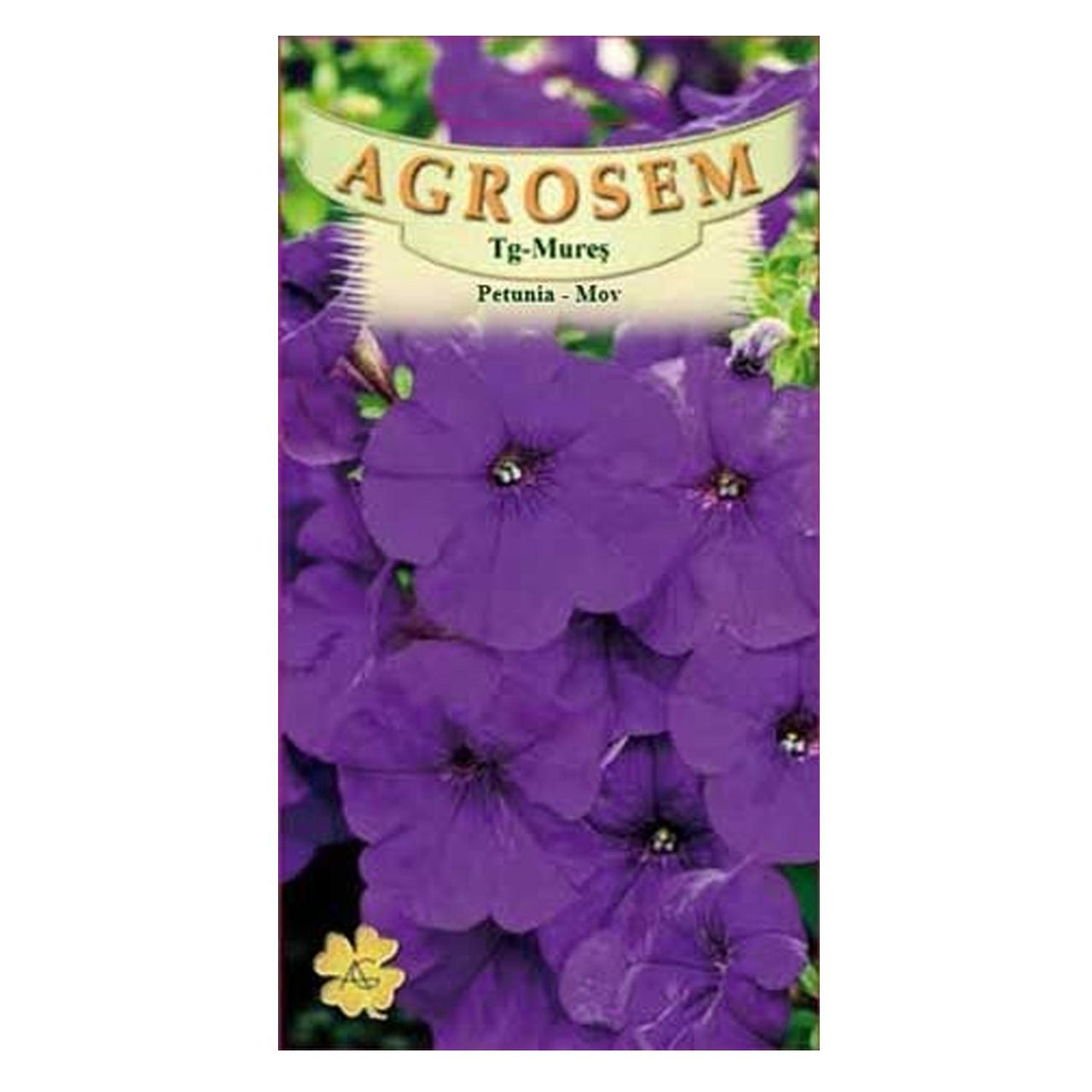 Seminte flori Petunia (Pethunia x hybrida compacta nana) mov 0.1g