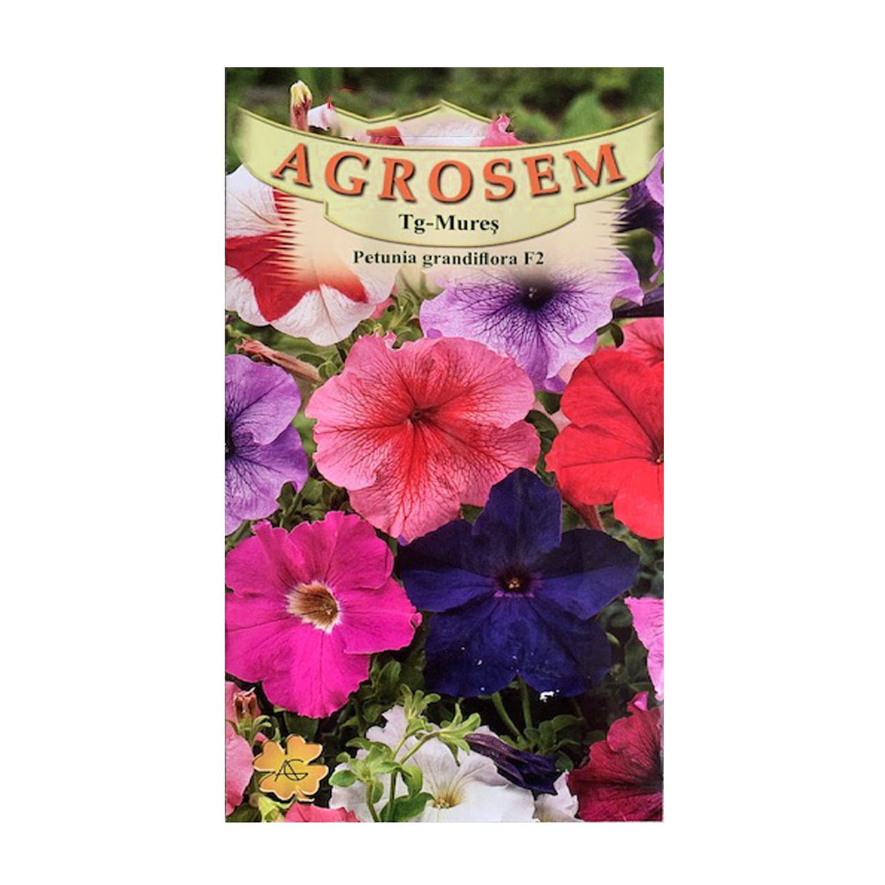 Seminte flori Petunia x hybrida grandiflora F2 mix 0.01g