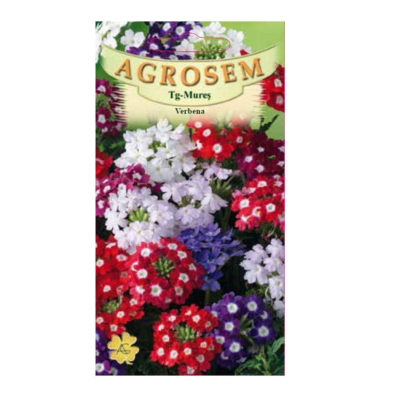 Seminte flori Verbena (Verbena hybrida) mix 0.2g