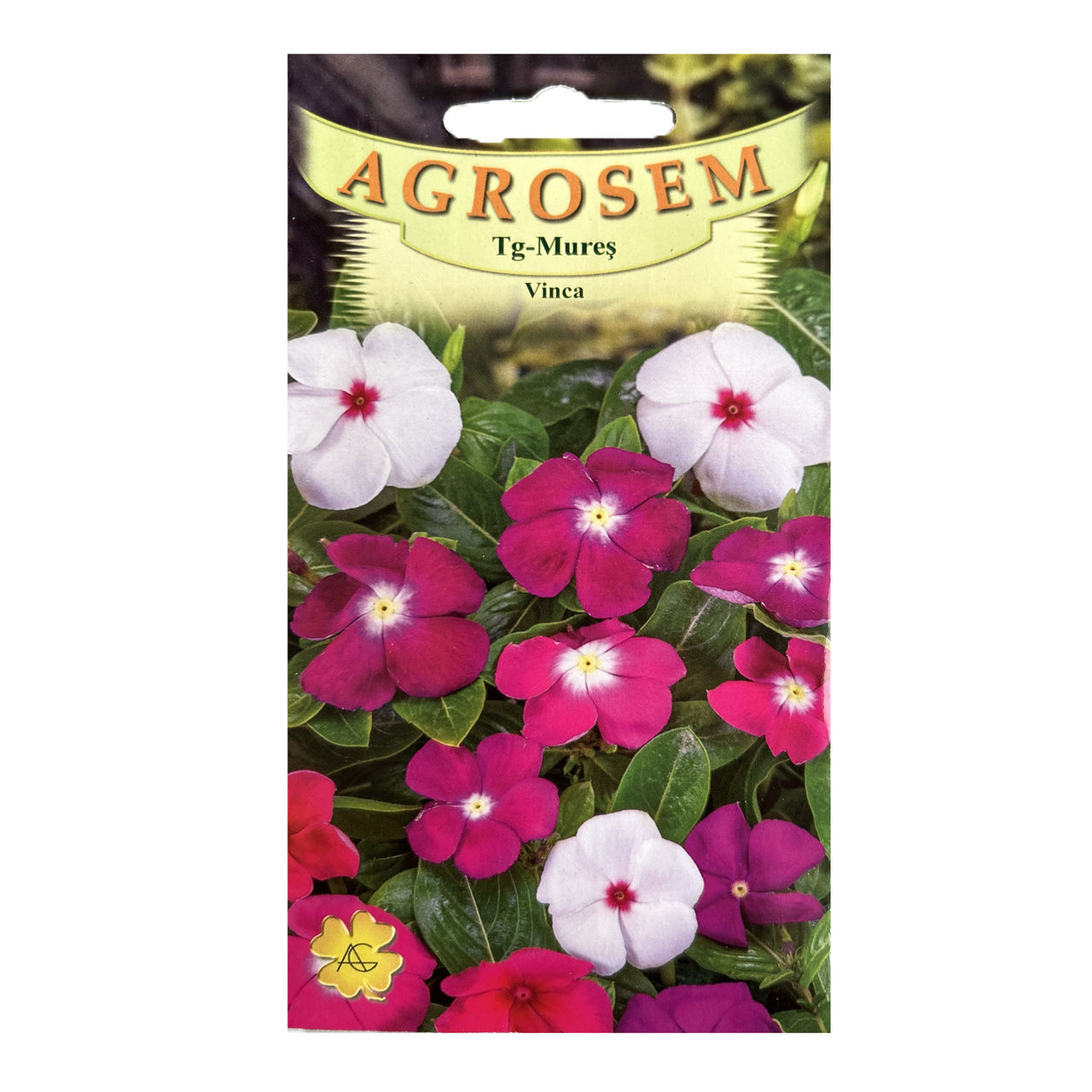 Seminte flori Vinca (Catharanthus roseus) mix 0.05g