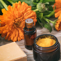 Thumbnail for Seminte Galbenele (Calendula officinalis) orange 1g