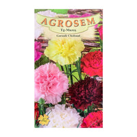 Thumbnail for Seminte flori Garoafe Chabaud (Dianthus caryophyllus) Mix 0.2g