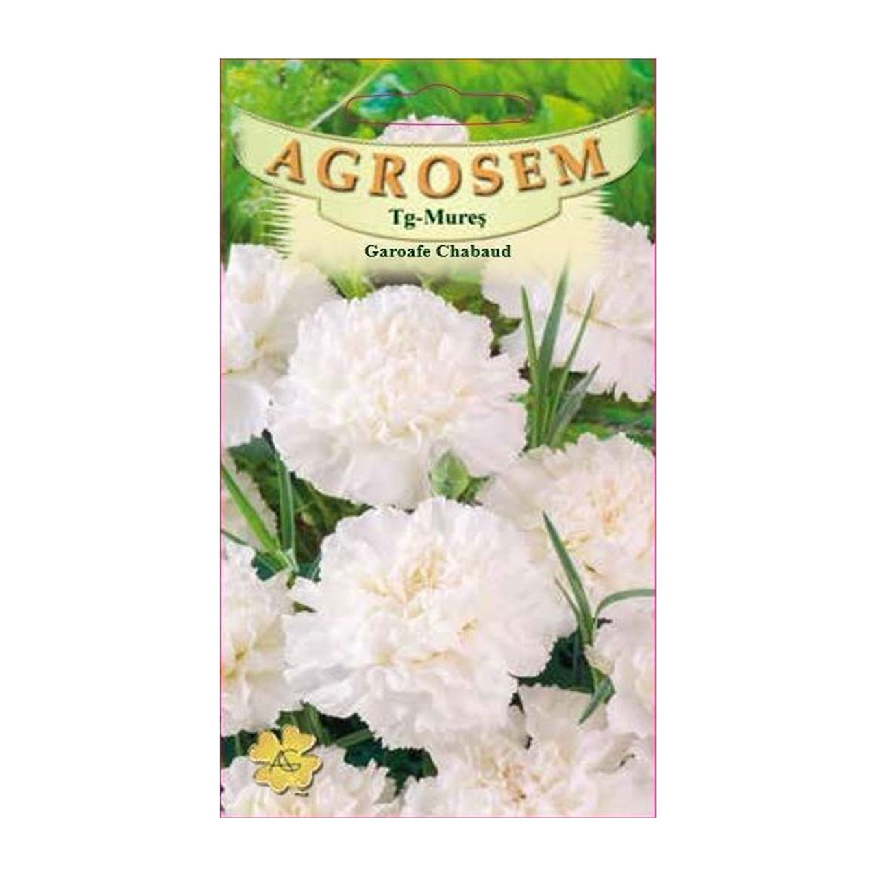 Seminte flori Garoafe Chabaud (Dianthus caryophyllus) albe 0.2g