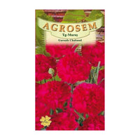 Thumbnail for Seminte flori Garoafe Chabaud (Dianthus caryophyllus) rosii 0.2g