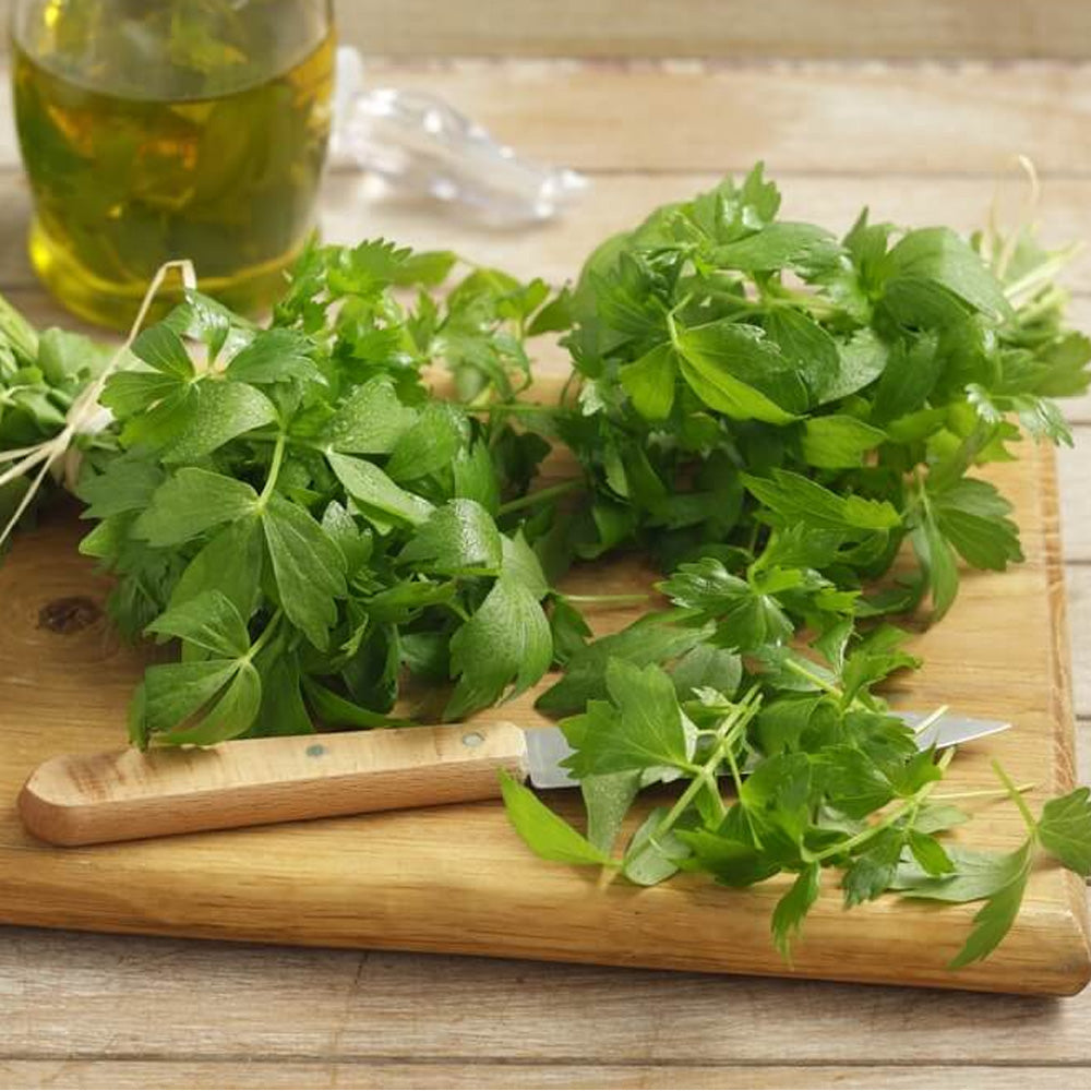 Seminte Leustean 0.35g