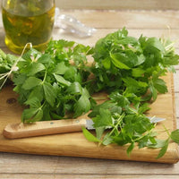 Thumbnail for Seminte Leustean 0.35g