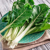 Thumbnail for Seminte Mangold Lucullus 5g