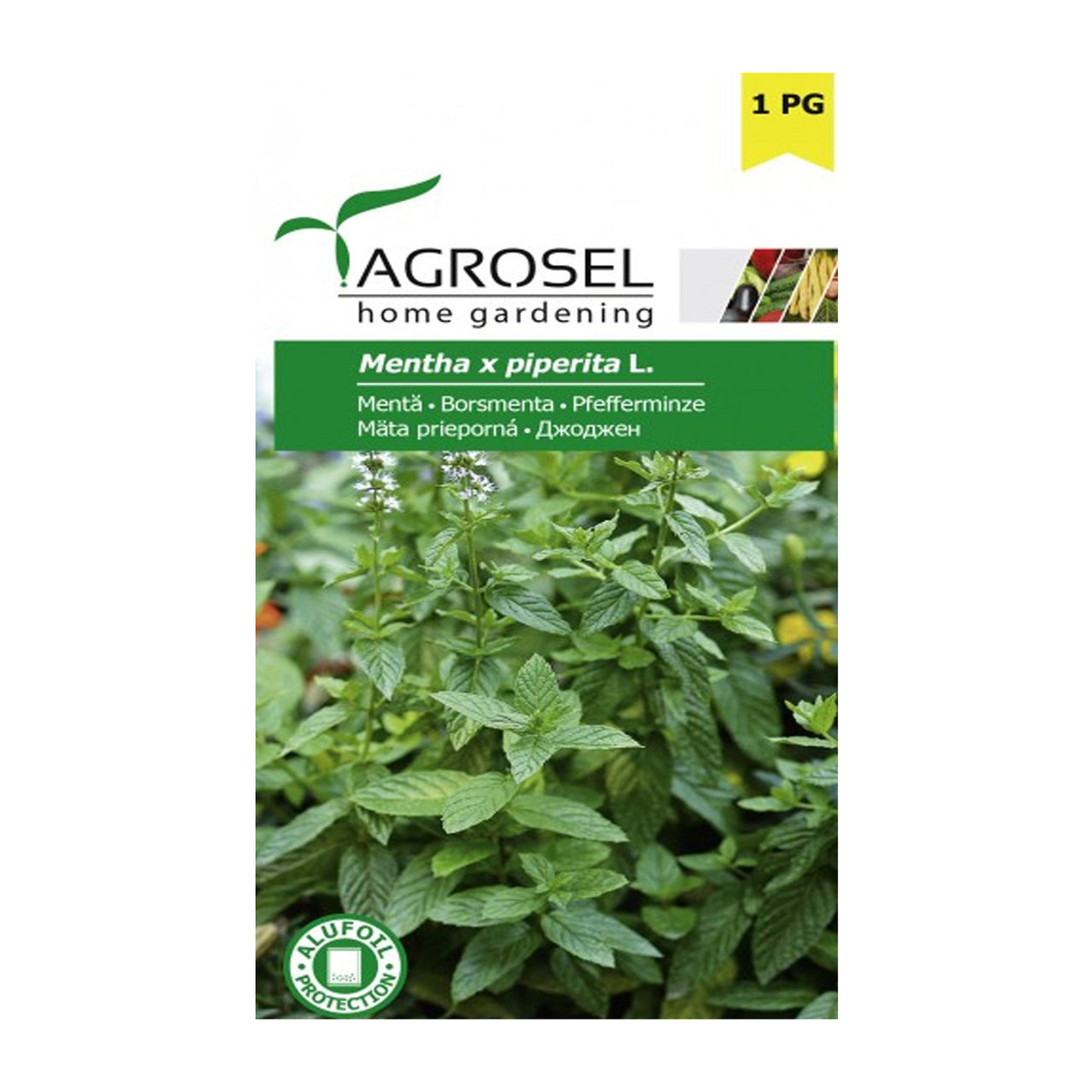 Seminte Menta Piperita 0.1g