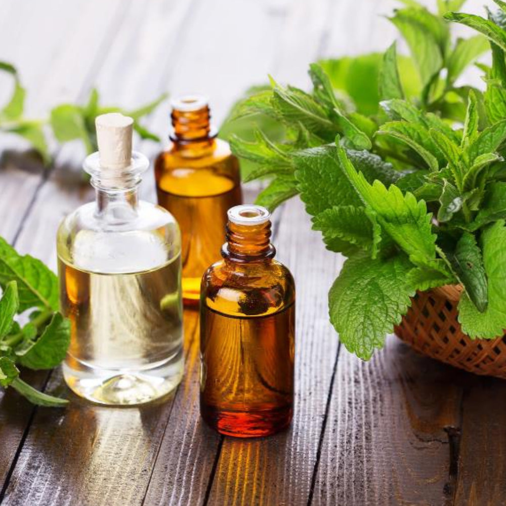 Seminte Menta Dulce 0.05g