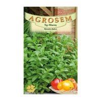 Thumbnail for Seminte Menta Dulce 0.05g