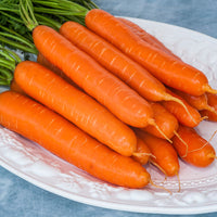 Thumbnail for Seminte Morcovi Nantes 50g