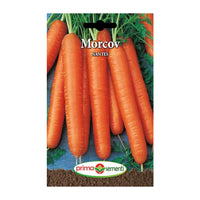 Thumbnail for Seminte Morcovi Nantes (5g, 10g, 50g)