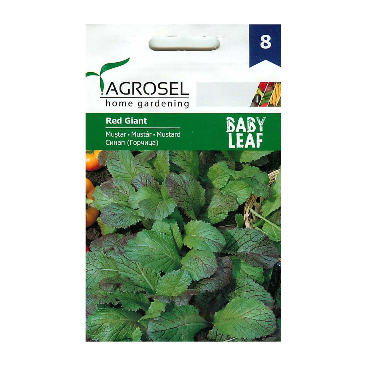 Seminte Mustar Baby Leaf Red Gigant 4g