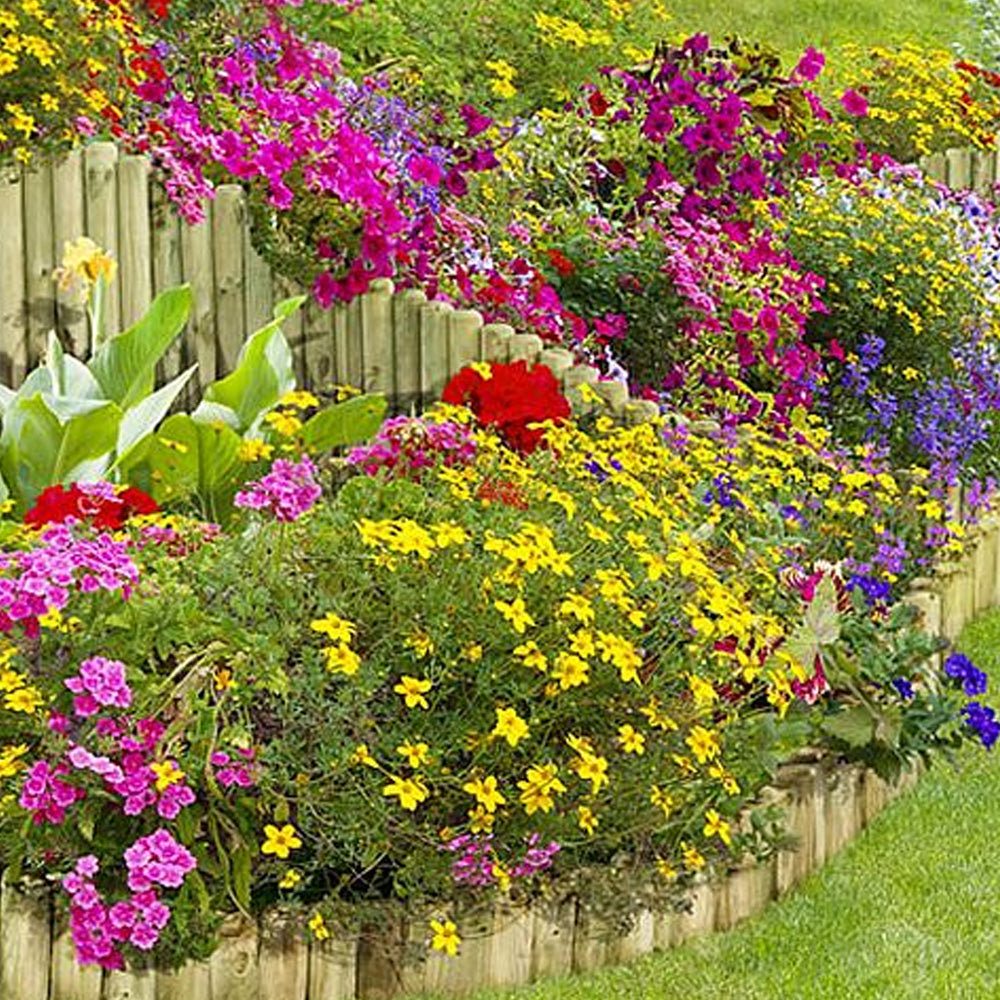 Seminte pe banda Covor de flori 3x1.33 m