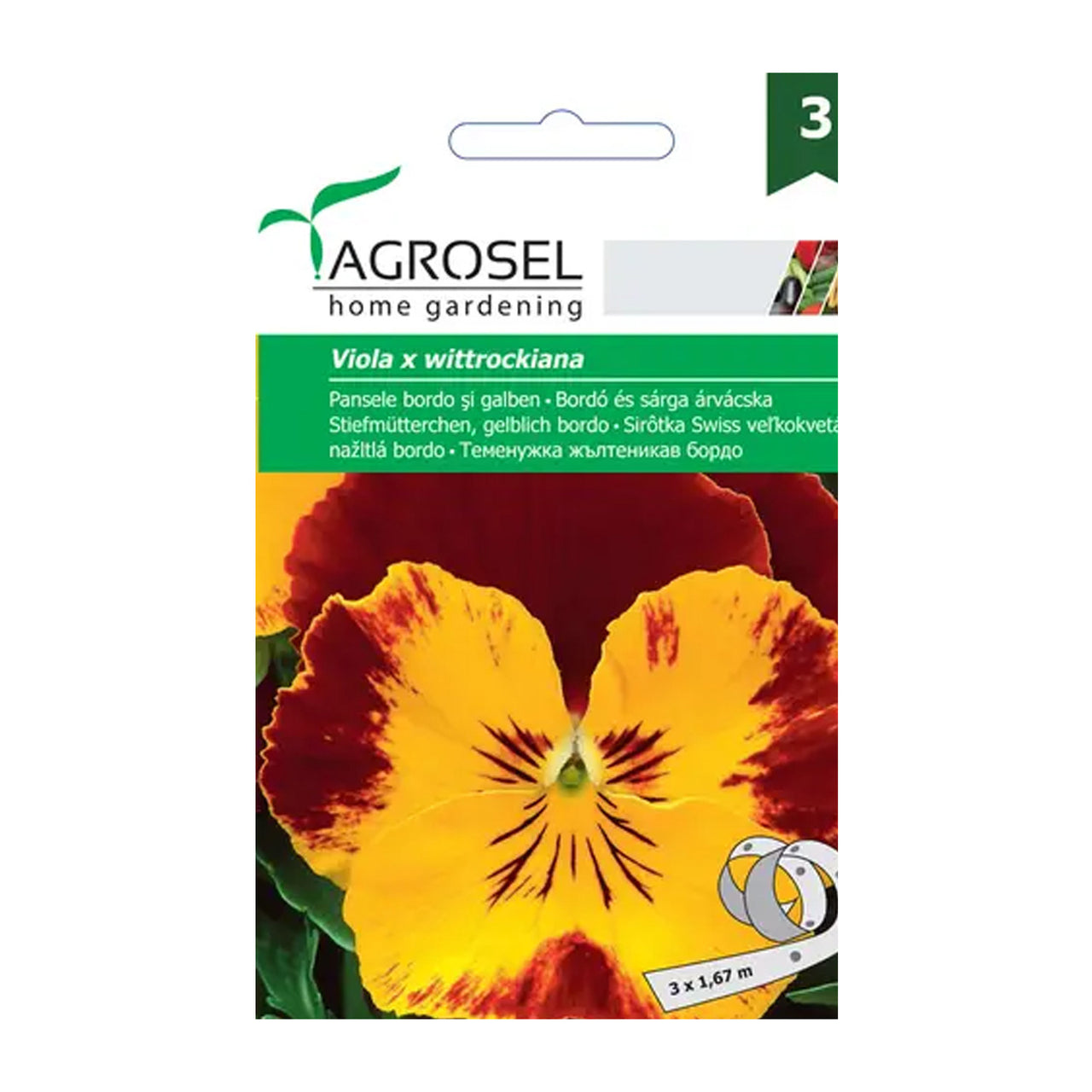 Seminte pe banda Pansele bordo si galben 3x1.67cm