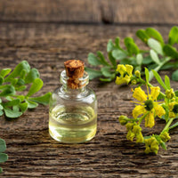 Thumbnail for Seminte Ruta 0.2g