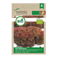 Thumbnail for Seminte Bio Salata rosie Red Salad Bowl 2g