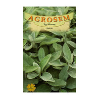 Thumbnail for Seminte Salvia 0.4g