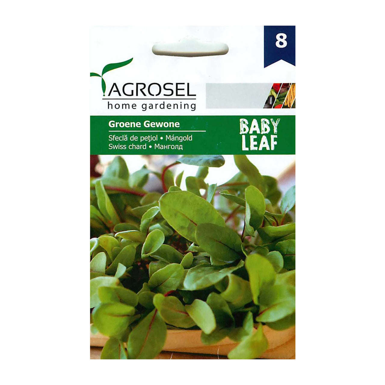 Seminte Sfecla de petiol Baby Leaf Mangold 4g