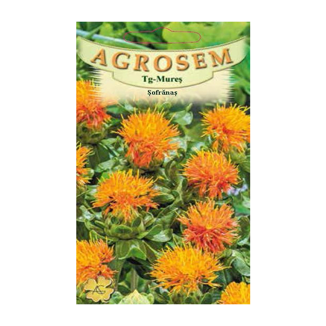 Seminte Sofranas 1.5g