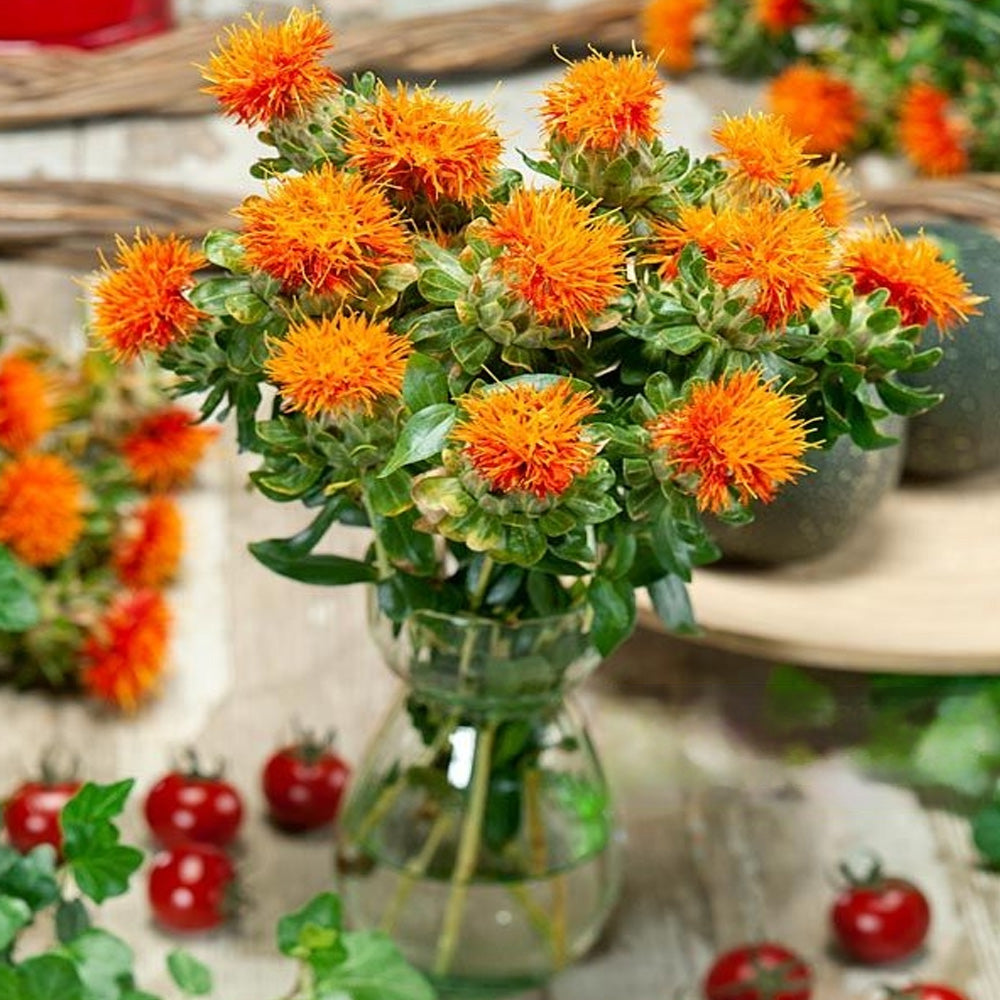 Seminte Sofranas 1.5g