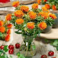 Thumbnail for Seminte Sofranas 1.5g