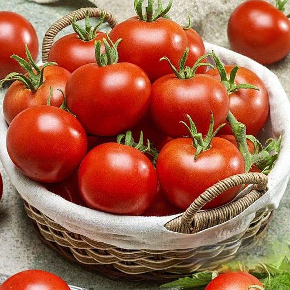 Seminte Tomate Ghittia (0.6g, 1.5g)
