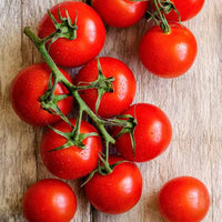 Thumbnail for Seminte Tomate Heinz 1350 10g