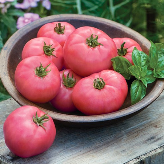 Seminte Tomate Lillagro 0.6g