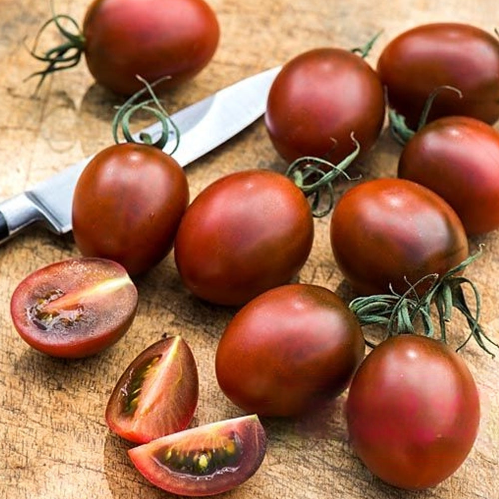 Seminte Tomate Sandybelle 0.5g