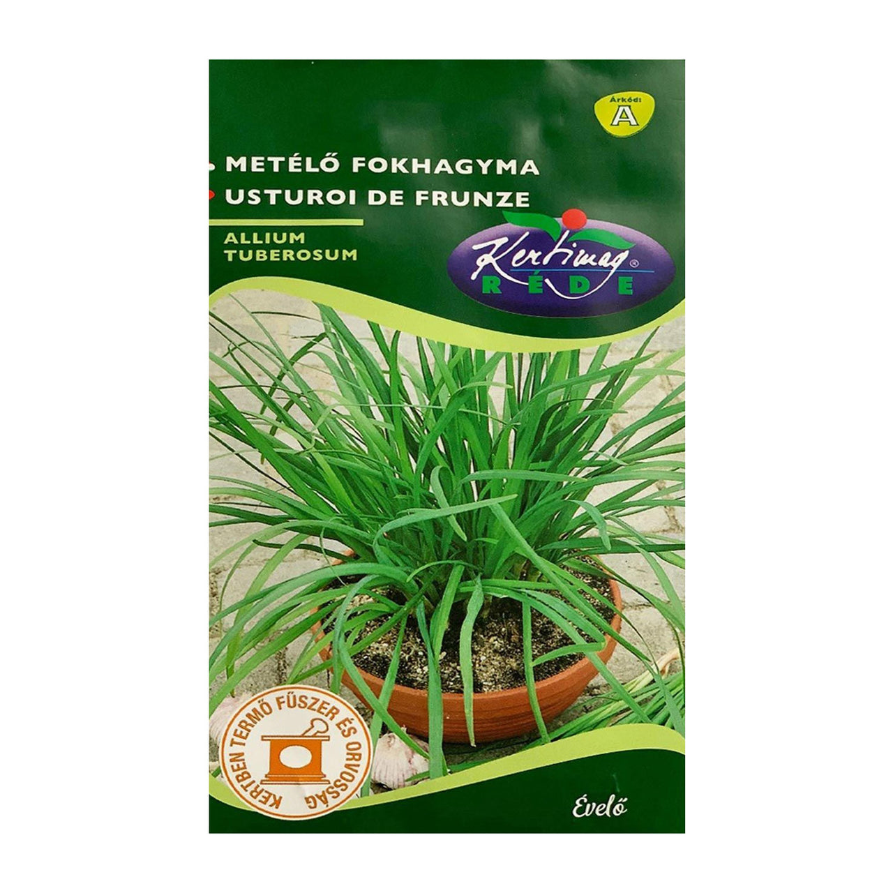 Seminte Usturoi de frunze 1g