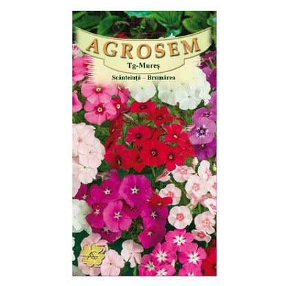 Seminte flori Scanteiuta-Brumarea (Phlox drummondii) mix 0.2g