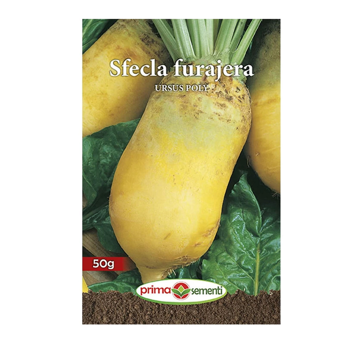 Seminte Sfecla Furajera Ursus Poly 50g