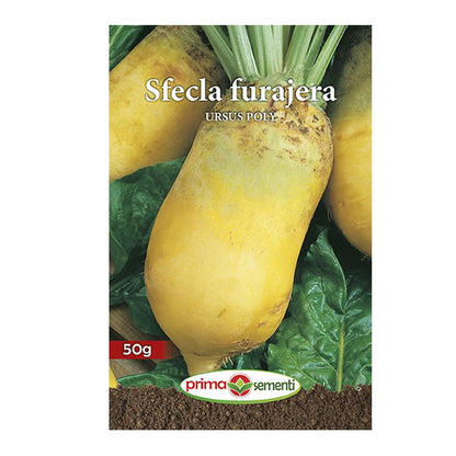 Seminte Sfecla Furajera Ursus Poly 50g
