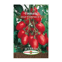 Thumbnail for Seminte Tomate Datterino F1 0.3g