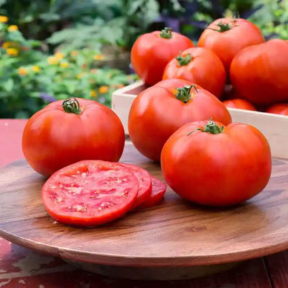 Seminte Tomate Montecarlo F1 0.5g